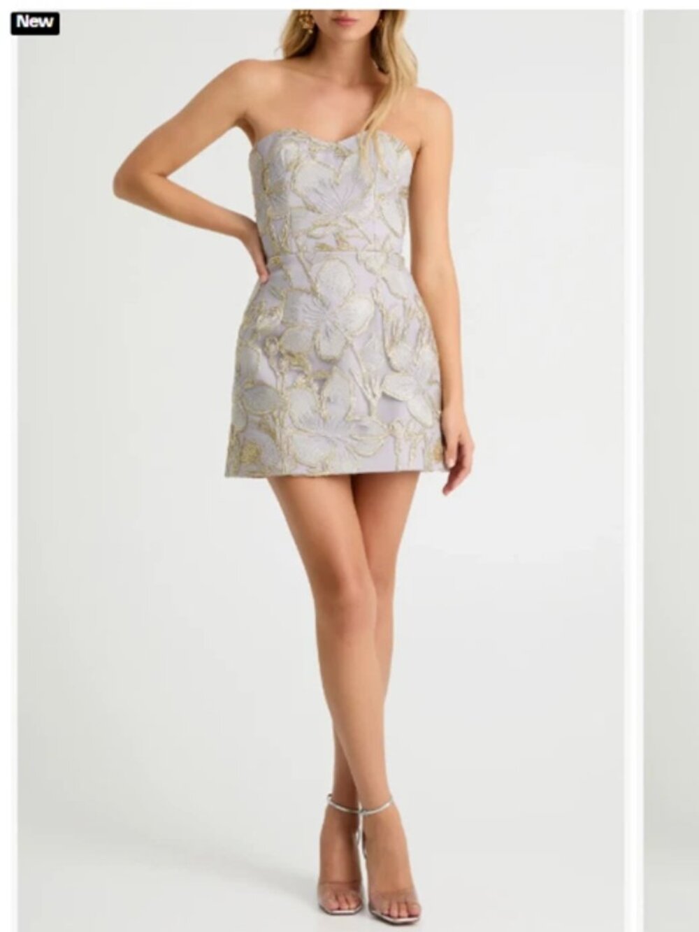 Helsi Lulu Floral Embroidered Strapless Minidress